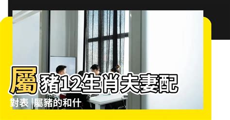 豬和兔合嗎|生肖配對｜屬豬12生肖夫妻配對表！最佳姻緣及相沖排